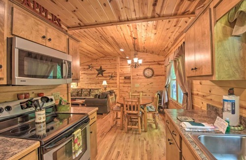 Helen Cabin | Apple Dumpling 1/1! Pool Table!