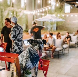 East Cesar Chavez Hotel | ARRIVE Austin