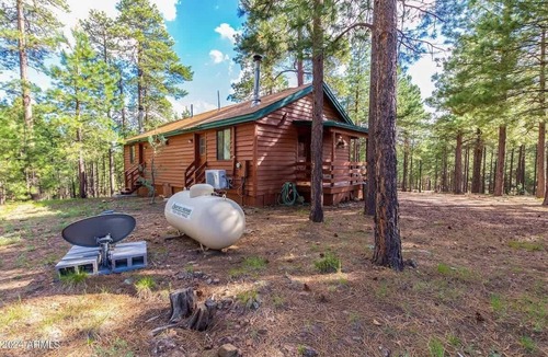 Heber Cabin | Bear Cabin - Forest Lakes
