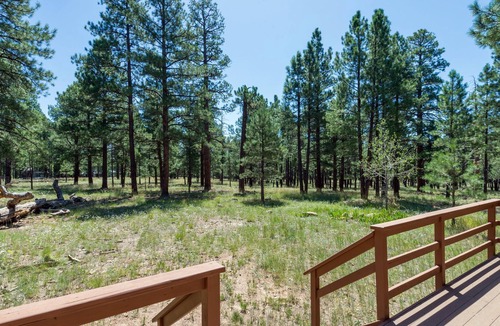 Flagstaff Cabin | Beautiful Secluded Mountain Home on 2.5 Acres ~ Wildlife, Quiet, Close To Town!