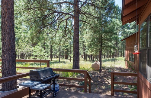 Flagstaff Cabin | Beautiful Secluded Mountain Home on 2.5 Acres ~ Wildlife, Quiet, Close To Town!