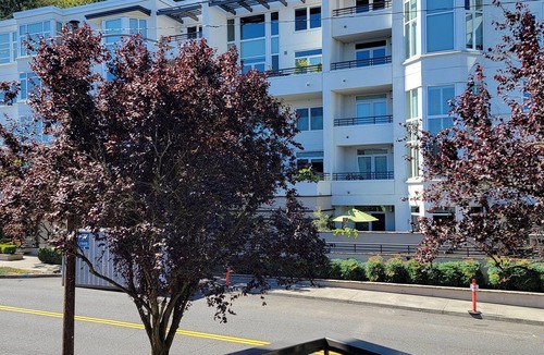 Nob Hill Condo | Beautiful Space in the Heart of NW Portland's Alphabet District