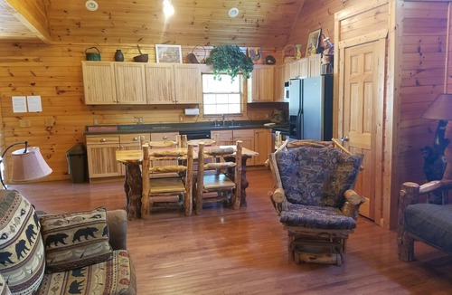 Hiawassee Cabin | Big Nate Cabin on Lake with Water Trampoline