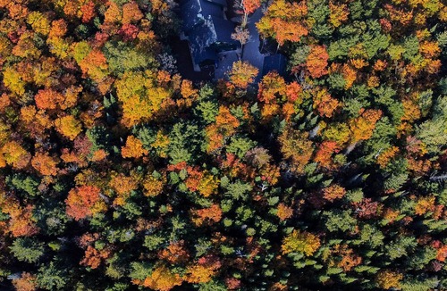 Baileys Harbor Cabin | Brand New, Large Family-Friendly Forest Sanctuary on 9 acres