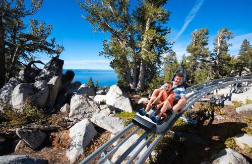 Tahoe Paradise House | Caring Bear Cabin - games pets wheelchair -friendly