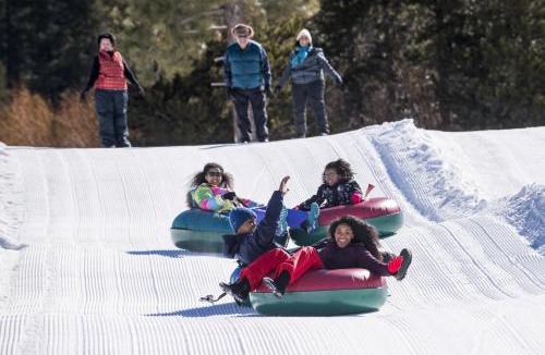 Tahoe Paradise House | Caring Bear Cabin - games pets wheelchair -friendly