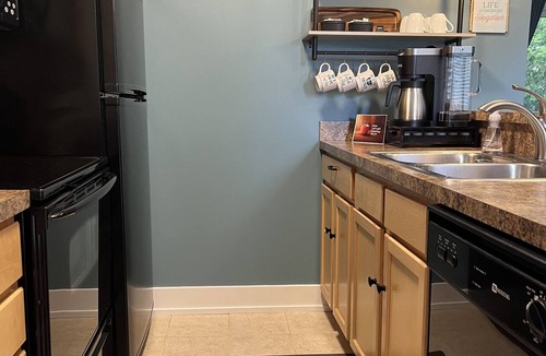 Douglas Condo | Celestial Pointe Condominium 1 Bedroom 1 Bathroom, Sleeps 4 @ Northern Lights