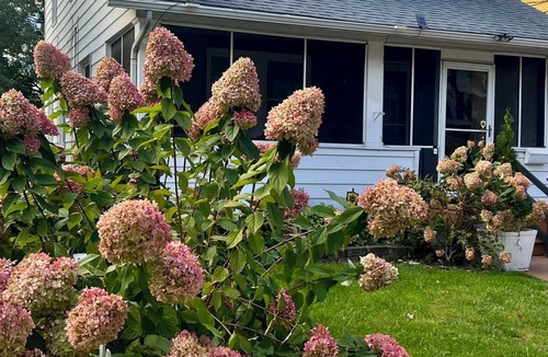 Toledo House | Charming 1-3 Bedroom Retreats with Spa Perks.