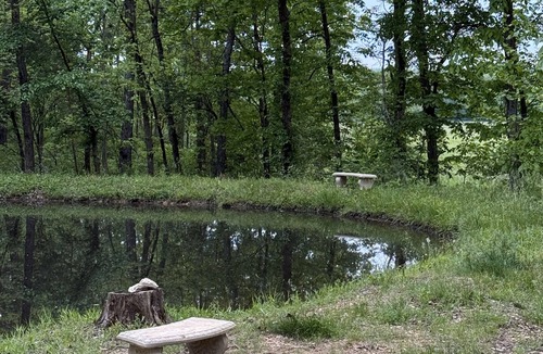 Elkland Cabin | Charming 2-bedroom cabin with WiFi, AC near marvelous Pleasant Hope, Mo.
