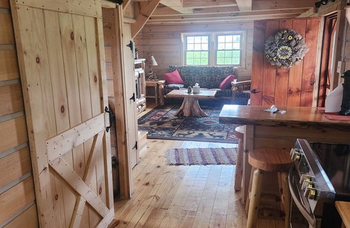 Melmore Cabin | Charming 2-bedroom cabin in Carey with AC, WiFi
