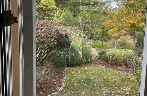 Douglas Cottage | Charming 3-bedroom cottage in enjoyable Douglas with WiFi, AC