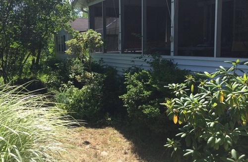 Douglas Cottage | Charming 3-bedroom cottage in enjoyable Douglas with WiFi, AC