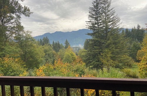 Randle Cabin | Charming private 3-bedroom cabin with WiFi, AC and Hot Tub in quaint Randle.