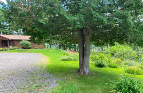 Hayward Cabin | Clear Your Mind on Clear Lake