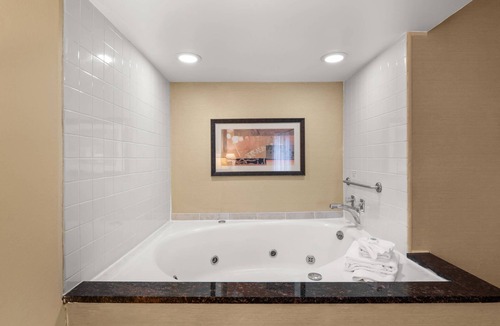 Romulus Hotel | Comfort Inn Metro Airport