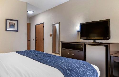 Kalamazoo Hotel | Comfort Inn Wings Stadium
