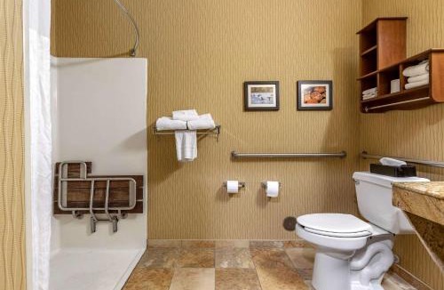 Kalamazoo Hotel | Comfort Inn Wings Stadium