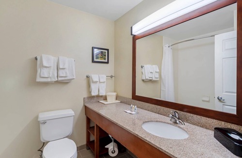 Normal Hotel | Comfort Suites Normal University area