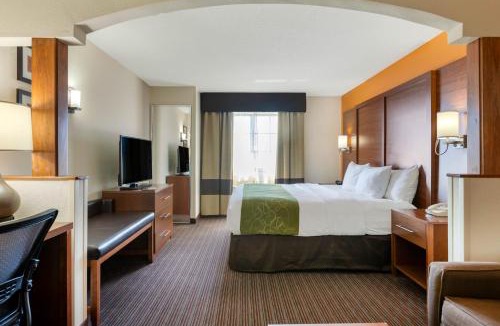 Stevensville Hotel | Comfort Suites Stevensville - St Joseph