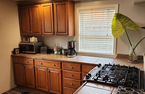 Leonidas House | Comfy on Carrollton Avenue dog friendly on streetcar line!