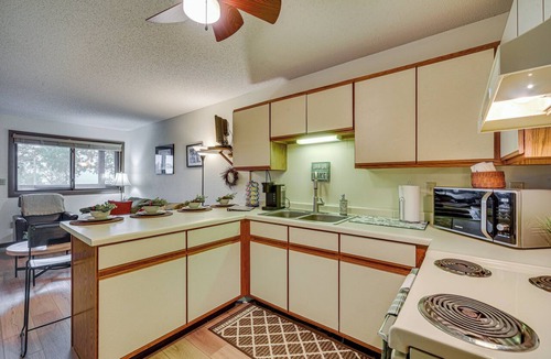 Siren Condo | Condo with Beautiful Lake Views! Steps to Lake