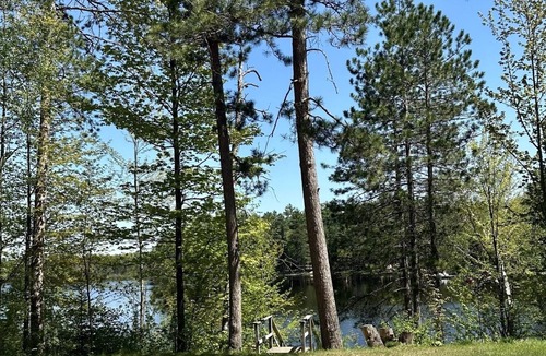 Iron County Cabin | Cozy 2 Bedroom Lakefront Cabin Turtle Point Outpost|Box Turtle