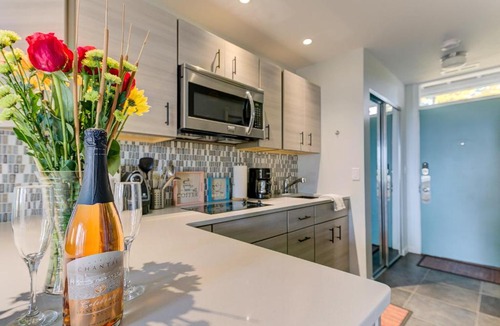 Acme Apartment | Cozy Aviation Style Lake View Condo at The Shores