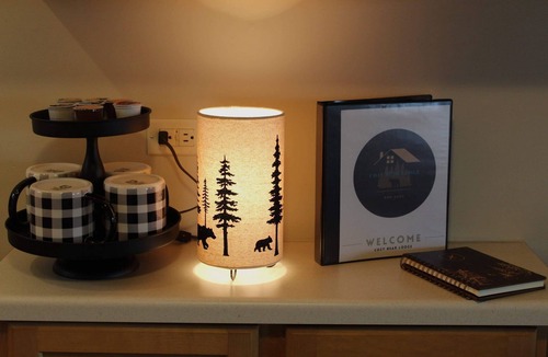 St Germain Cabin | COZY BEAR LODGE-On UTV/Snowmobile trail, Beachside Cabin w/Porch, Private dock
