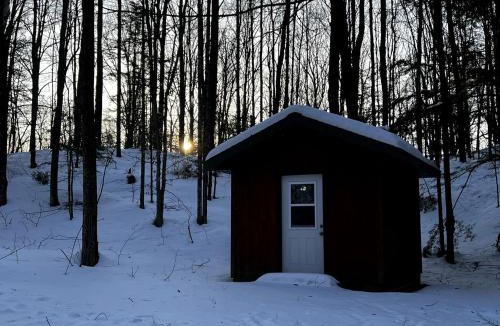 White Lake House | Cozy Cabin with Bunk Beds Surrounded by Nature near White Lake, Wisconsin