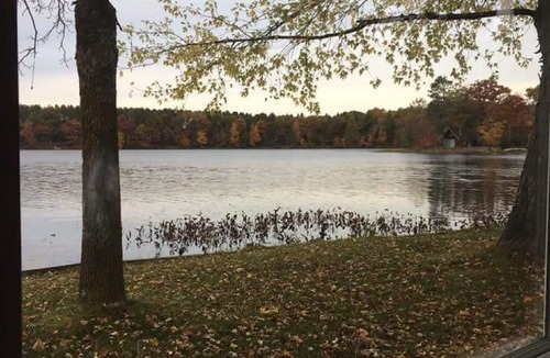 Comstock Cabin | Cozy Lakefront Cabin w/canoe, hammock, fire-pit & grill! Perfect group getaway