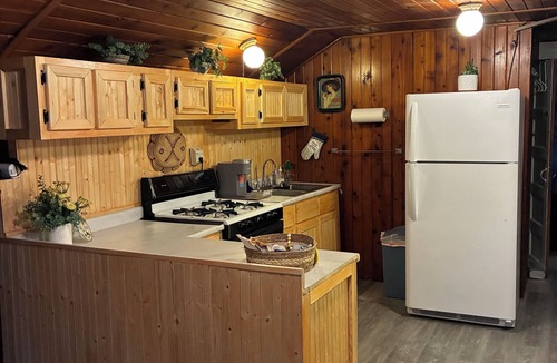 Camdenton Cabin | Cozy rustic lakefront cabin with AC and Wi-Fi in charming Camdenton