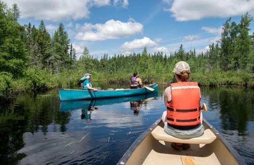 Hovland House | Cozy Tiny Cabin - Off-Grid Experience with Sled Dogs Year 'round in Minnesota