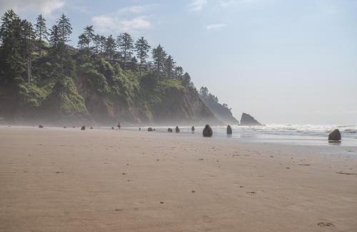 Neskowin House | Creek Haven
