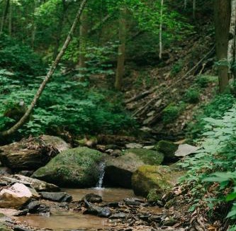 Stanton House | Creekside Oasis!