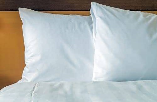 Newtonville Hotel | Crowne Plaza Albany - The Desmond Hotel