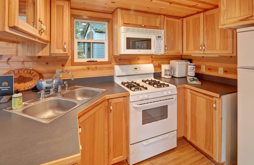 Olga Cabin | Dog-friendly wood cabin with full kitchen & free WiFi near the water