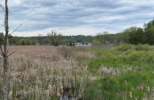 Fish Creek House | Downtown Fish Creek -At Peninsula State Park!