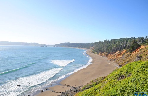 Newport Hotel | Ensuring a Very Comfortable & Memorable Stay! Pets Are Welcome, Free Parking!