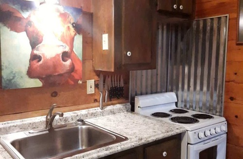 Copperhill Cabin | Family or Couples Cabin | Private Hot Tub