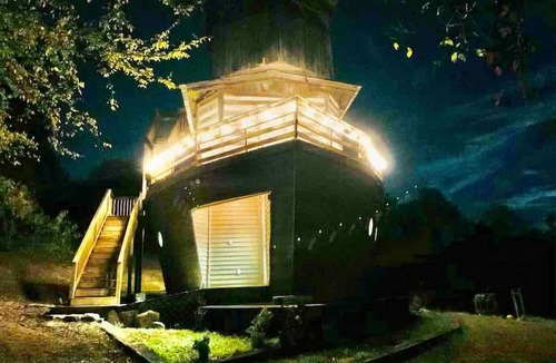 Springfield Boat Rental | Fantastic Ark minutes away from Nashville