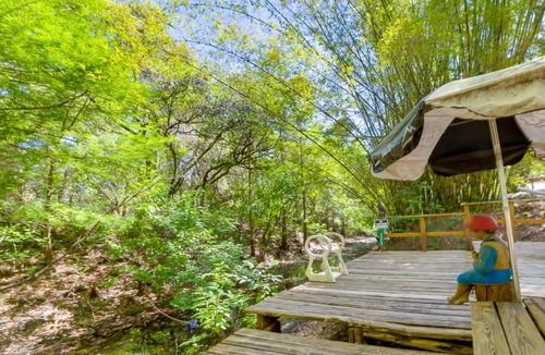 Dunnellon House | Fire Pit & Boat Dock: Peaceful Dunnellon Cabin!