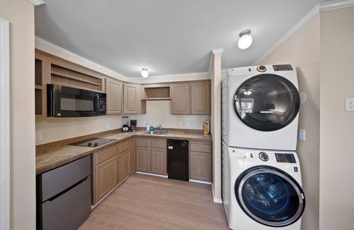 Sunshine Apartment | Furnished Executive Suite Near DOW + Shintech - C1