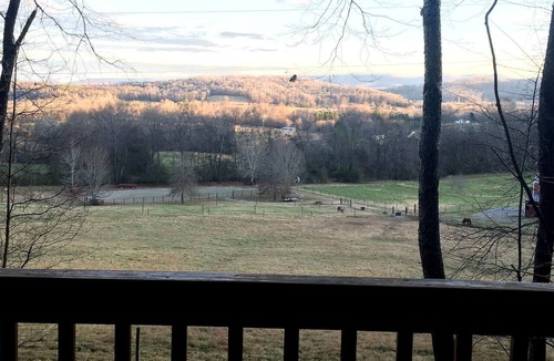 Sparta Cabin | Furry Friends and Fields: Pet-Friendly Cabin with Unique Views in Sparta, TN