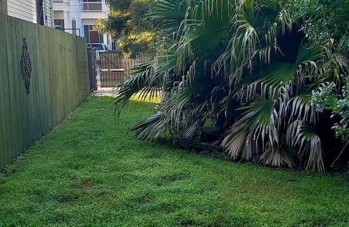 Faubourg Livaudais House | Garden District Streetcar, Gated Driveway & Fenced Yard, Dog Friendly!