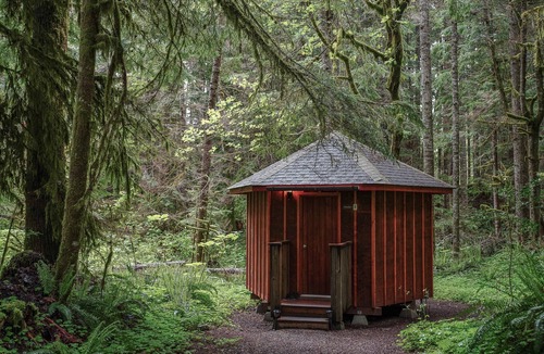 Ashford Cabin | Glamping Paradise Yurt with SHARED bath, 1 Mile from Mt Rainier Entrance