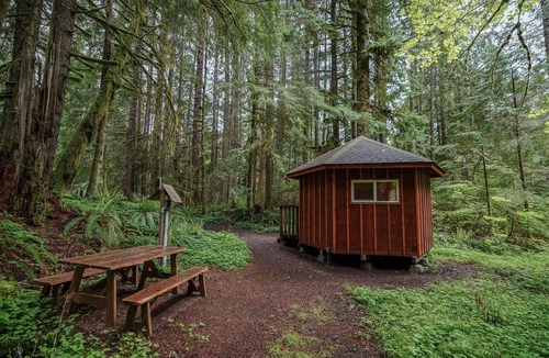 Ashford Cabin | Glamping Paradise Yurt with SHARED bath, 1 Mile from Mt Rainier Entrance