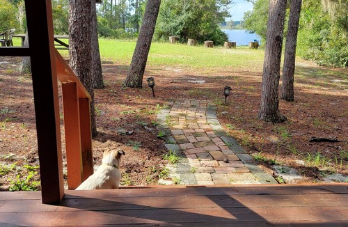 Astor Cabin | Grasshopper Lodge: Secluded, cozy, and romantic hand-crafted rustic cabin