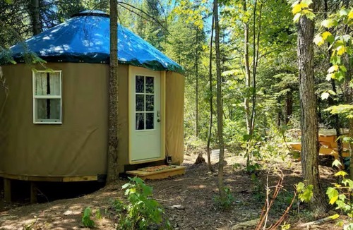 Paradise RV Rental | Great Lakes Yurt Camp: Bearadise Yurt