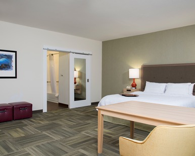 Portage Hotel | Hampton Inn Kalamazoo