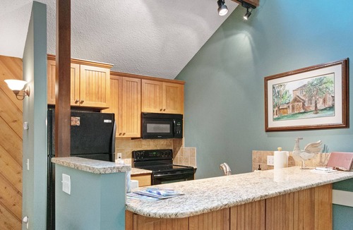 Harbor Springs Condo | Harbor Cove condo w/ balcony and fireplace - private beach!